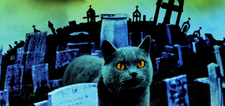 Poster for the movie "Pet Sematary"