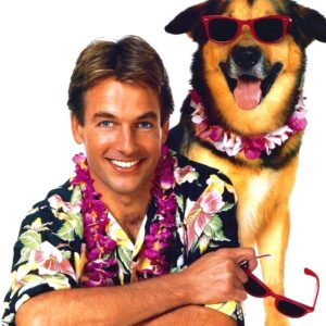 Poster for the movie "Summer School"