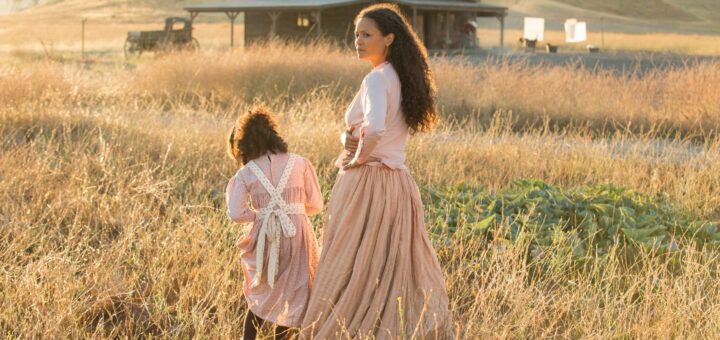 Westworld Episode 2 Review: "Chestnut"